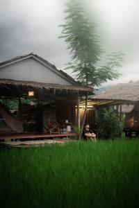 uma pessoa sentada na relva em frente a uma casa em สะปันดีวิว Sapan Dee View บ่อเกลือ น่าน em Ban Huai Ti