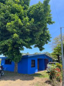 a blue building with a tree in front of it at Estudio Mar Azul in Puntarenas