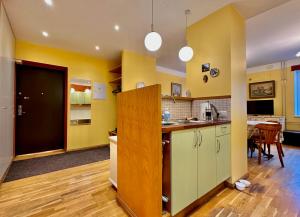 Kuchyň nebo kuchyňský kout v ubytování Apartment in City Center