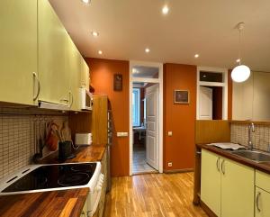 Kuchyň nebo kuchyňský kout v ubytování Apartment in City Center