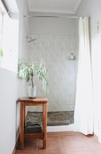 uma casa de banho com um chuveiro e uma mesa com uma planta em Ruigtevallei Lodge em Gariepdam