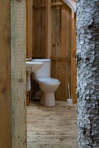 a bathroom with a toilet and a sink at WisiLas Nad Sercowym Potokiem in Rabka-Zdrój