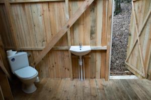 a bathroom with a toilet and a sink at WisiLas Nad Sercowym Potokiem in Rabka-Zdrój