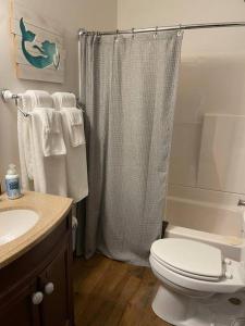 a bathroom with a shower curtain and a toilet at Cozy 4br Lake Lanier GA Waterfront- Great Location in Gainesville