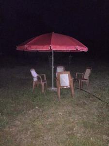 a table and chairs under an umbrella at night at Mera Hostel in P'arts'khanaqanevi