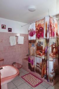 uma casa de banho com um lavatório e uma cortina de chuveiro em Logement entier au soleil couchant em Deshaies