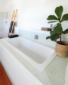 a bathtub with a potted plant in a bathroom at MooiBaai in Hout Bay