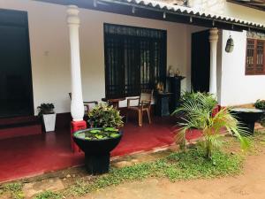 un portico di una casa con piante sopra di Elephant Side Bungalow a Udawalawe
