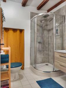 een badkamer met een douche en een toilet bij Cœur de ville avec parking+gare à proximité de Disney et Paris in Lagny