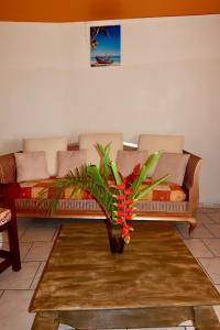 uma sala de estar com um sofá e uma planta em Logement entier au soleil couchant em Deshaies
