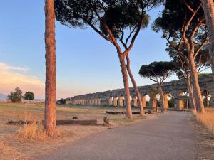 羅馬的住宿－Soul of Rome: Eternita’ ed Eleganza，一条有树木的道路和一座距离遥远的桥梁