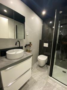 a bathroom with a toilet and a sink and a shower at Studio standing bord de mer in Mandelieu-La Napoule