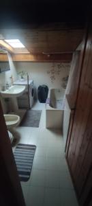 La salle de bains est pourvue d'un lavabo et de toilettes. dans l'établissement A&J House, à Canal San Bovo