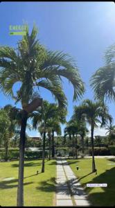 Zahrada ubytování Apartamento no Condomínio Iberostate Praia do Forte