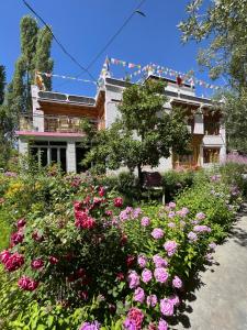 a garden of flowers in front of a house at Napishu Summer Home in Leh