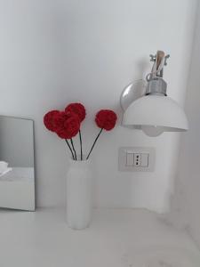 Due rose rosse in un vaso vicino a un interruttore. di Casa dei Gemelli a Minori