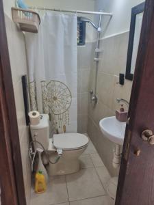 y baño con aseo y lavamanos. en B&B Amit 18 minutes from the airport - אירוח כפרי עמית 18 דקות משדה תעופה en Petaẖ Tiqwa