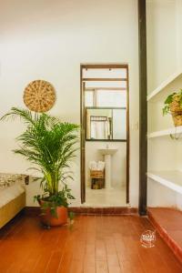 拉特瓦伊達的住宿－Hotel Vivero Arte Vivo I Quindío I Eje Cafetero，一间镜子的房间,里面装有植物