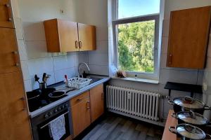 una pequeña cocina con fregadero y ventana en Apartment ROTER FADEN, en Hannover