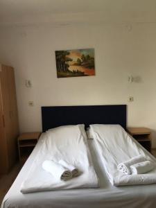 Ένα ή περισσότερα κρεβάτια σε δωμάτιο στο VILA ZORICA