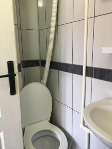 Fotografie z fotogalerie ubytování VILA ZORICA v destinaci Ribarska Banja