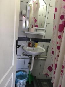 Fotografie z fotogalerie ubytování VILA ZORICA v destinaci Ribarska Banja + 33 fotografií