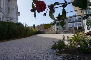 Zahrada ubytování Apartamentos Salceda
