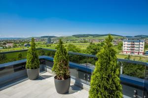 een balkon met bomen in potten op een gebouw bij Hotel Tempo in Târgu-Mureş
