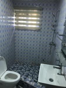 łazienka z toaletą i umywalką w obiekcie Holly House w mieście Oshien