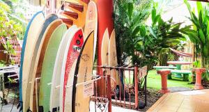 صورة لـ Cool Vibes Beach Hostel في دومينيكال