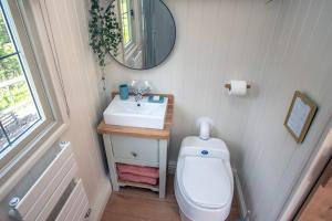 a bathroom with a toilet and a sink and a mirror at Shepherds Huts Tansy & Ethel in rural Sussex in Arundel