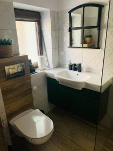 a bathroom with a toilet and a sink at Apartament w ,chlewiku” in Gołdap