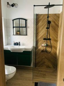 a bathroom with a shower and a sink at Apartament w ,chlewiku” in Gołdap