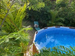 a swimming pool in a garden with plants at DIAMANT CHERRY in Le Diamant