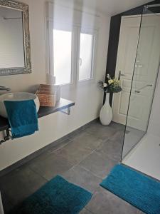 La salle de bains est pourvue d'un lavabo et d'une douche avec des tapis bleus. dans l'établissement Le Cocon d'Aurore, à Reims