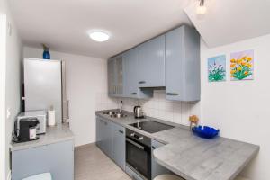 Kuchyň nebo kuchyňský kout v ubytování Apartment Lavanda