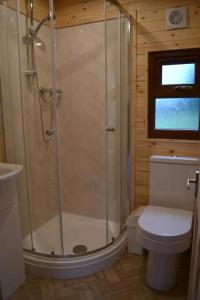 a bathroom with a shower and a toilet at LetAway - The Warren Lodge at Ashes Farm in Settle