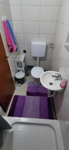 ein kleines Bad mit einem Waschbecken und einem WC in der Unterkunft Apartman Delic in Lukavac