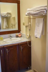 La salle de bains est pourvue d'un lavabo et d'un miroir. dans l'établissement Twilight Hotel Petra, à Wadi Musa
