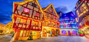a group of buildings with christmas lights on them at Le bijou de Leyna in Colmar
