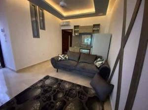 Il comprend un salon avec un canapé et une cuisine. dans l'établissement Cozy Stylish Studio with workspace, à Assouan