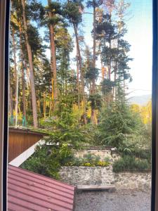 a bench in a garden with trees in the background at Guest House on Meskheti in Borjomi