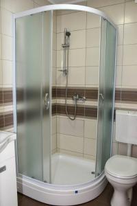 a bathroom with a shower and a toilet at Apartman Centar in Sombor
