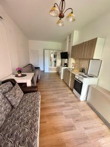 sala de estar con sofá y cocina en Apartman K2, en Kraljevo