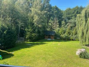 a garden with a small cabin in the middle of it at Zakątek przy lesie 