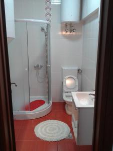 W łazience znajduje się prysznic, toaleta i umywalka. w obiekcie Apartmani i sobe Milojević w mieście Trebinje