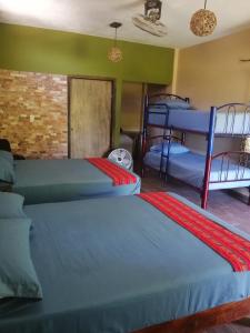 two beds in a room with two bunk beds at HOTEL AVE FENIX in Mazunte