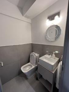 a bathroom with a toilet and a sink and a mirror at Loreta 201A SMA in San Martín de los Andes