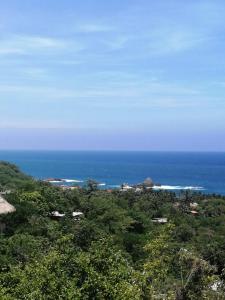 a view of the ocean from a hill with trees at HOTEL AVE FENIX in Mazunte