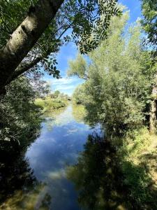 a river in the middle of a forest with trees at appartement in Beaupont +9 photos